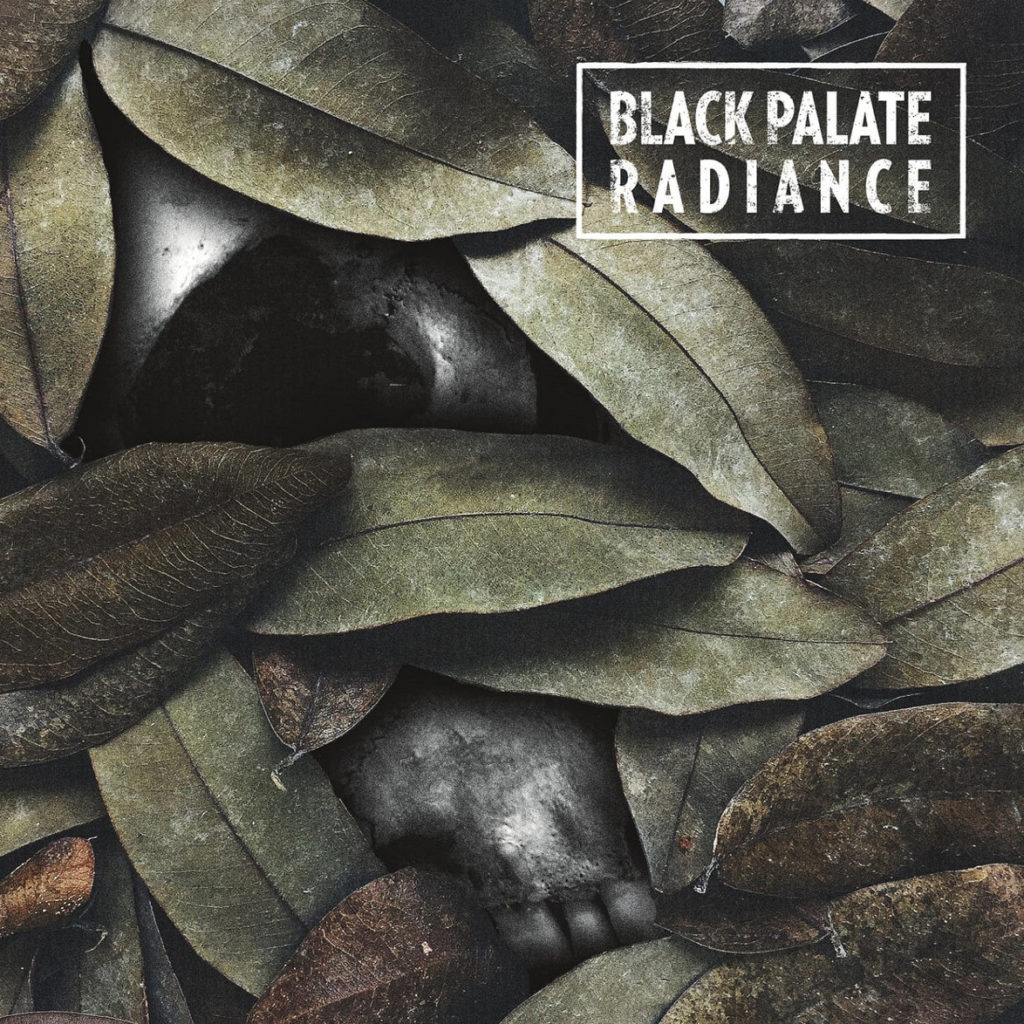 BWR039 RADIANCE / BLACK PALATE - split EP