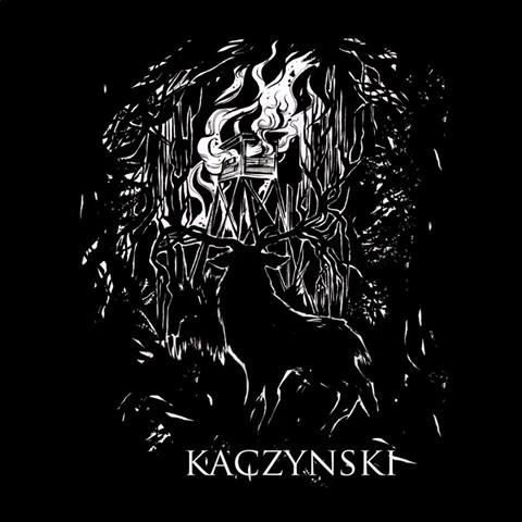 BWR042 AUGUST LANDMESSER / KACZYNSKI - split LP